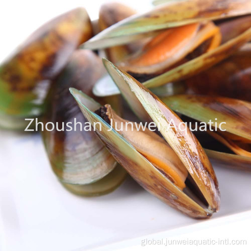 Green Mussel Fresh frozen green mussel Supplier